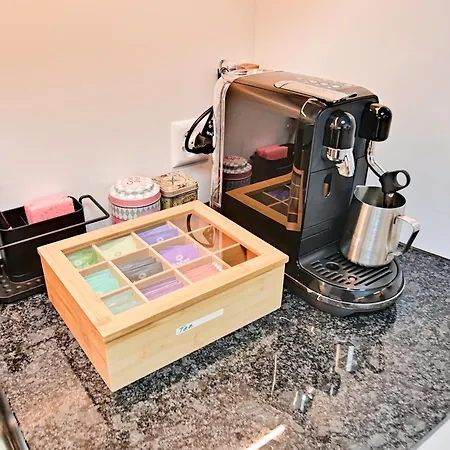 公寓 Gemuetliche 2.5 Mit Privater Sauna *